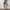 Legging Serpent Femme