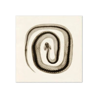Thumbnail for Tableau Serpent Noir et Blanc