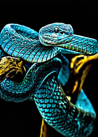 Thumbnail for Tableau Serpent Géant