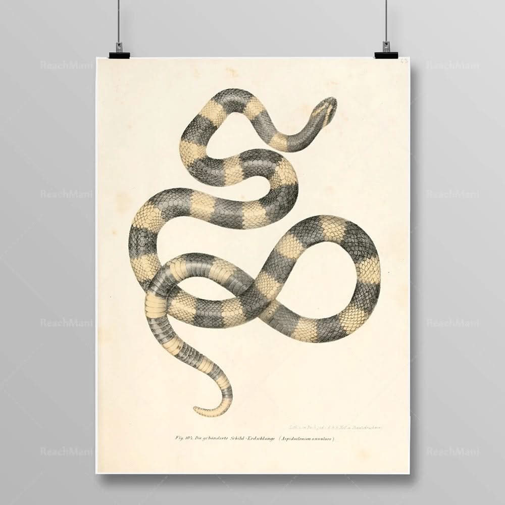 Tableau Serpent Égyptien