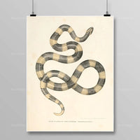 Thumbnail for Tableau Serpent Égyptien