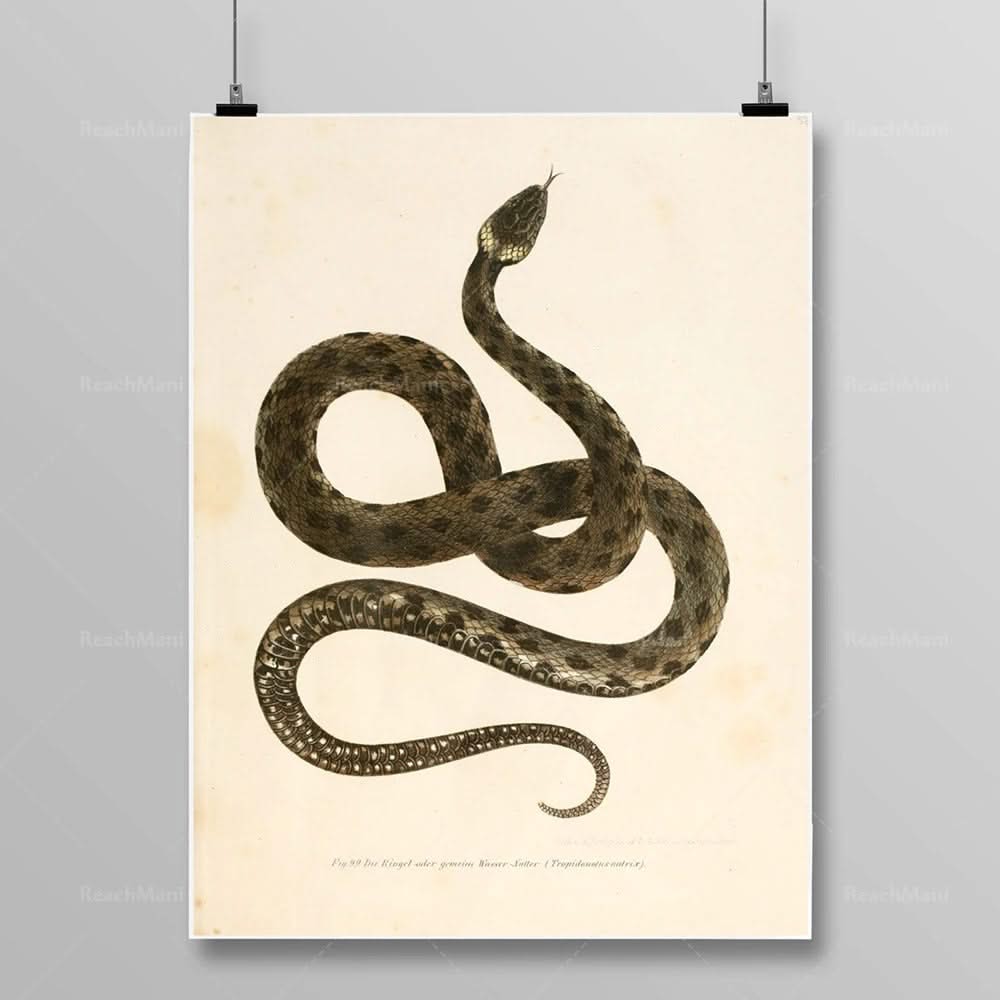 Tableau Serpent Égyptien