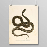 Thumbnail for Tableau Serpent Égyptien