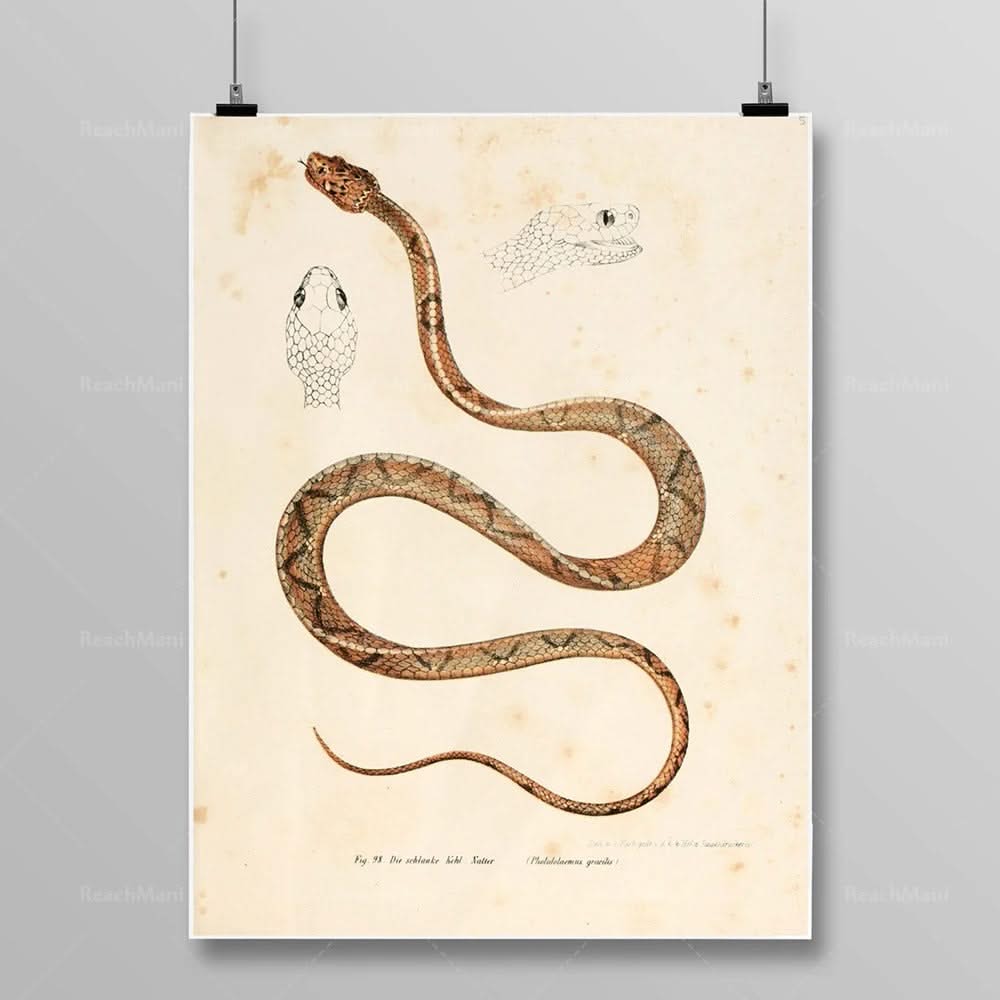 Tableau Serpent Égyptien