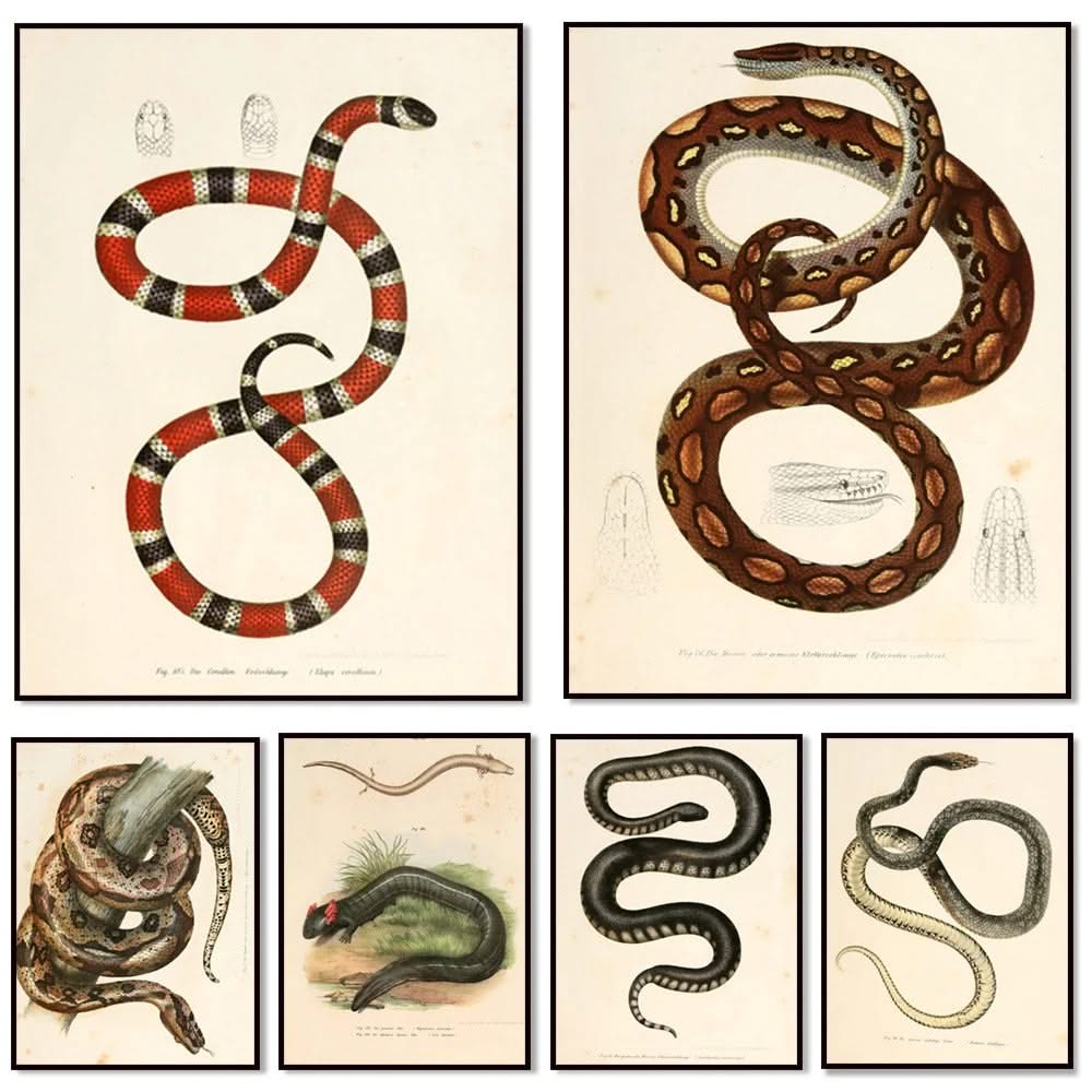 Tableau Serpent Égyptien