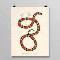 Thumbnail for Tableau Serpent Égyptien
