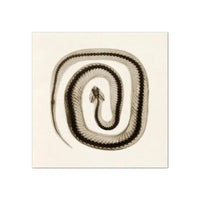 Thumbnail for Tableau Serpent Noir et Blanc