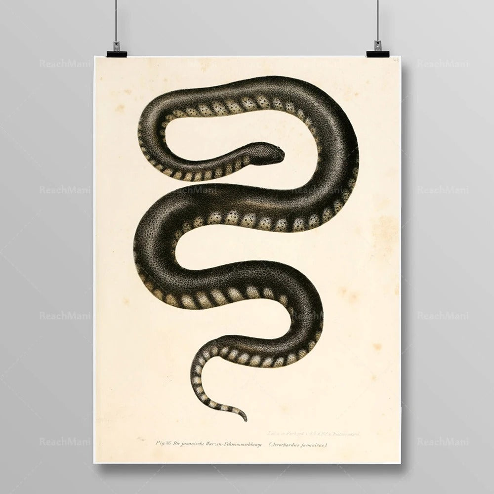 Tableau Serpent Égyptien