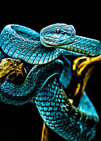 Thumbnail for Tableau Serpent Géant