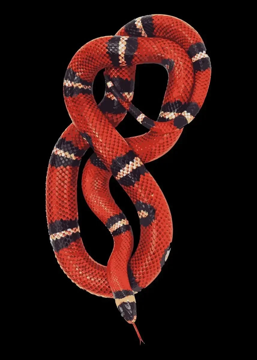 Tableau Serpent Géant