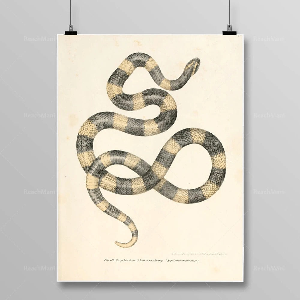 Tableau Serpent Égyptien
