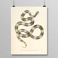 Thumbnail for Tableau Serpent Égyptien