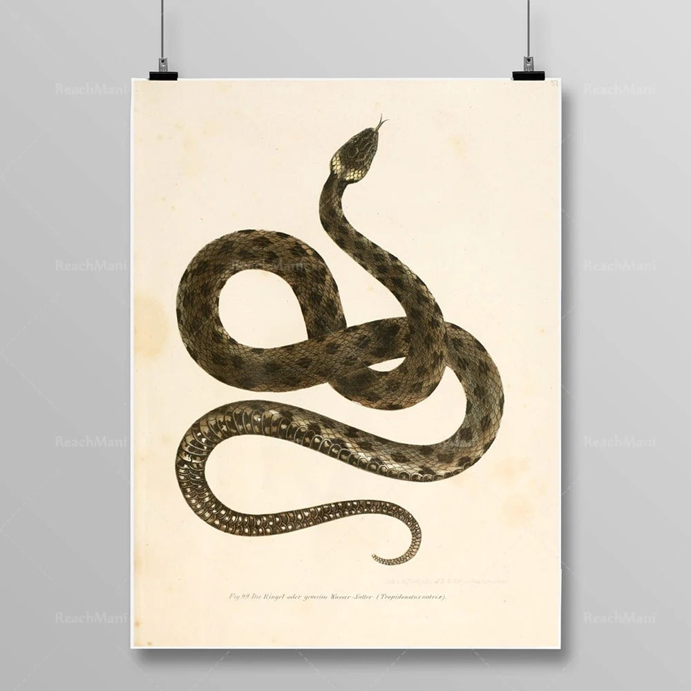 Tableau Serpent Égyptien