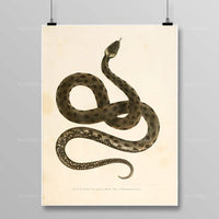 Thumbnail for Tableau Serpent Égyptien