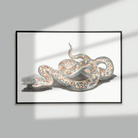 Thumbnail for Poster Serpent Vipère