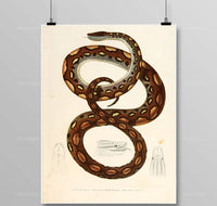 Thumbnail for Tableau Serpent Égyptien