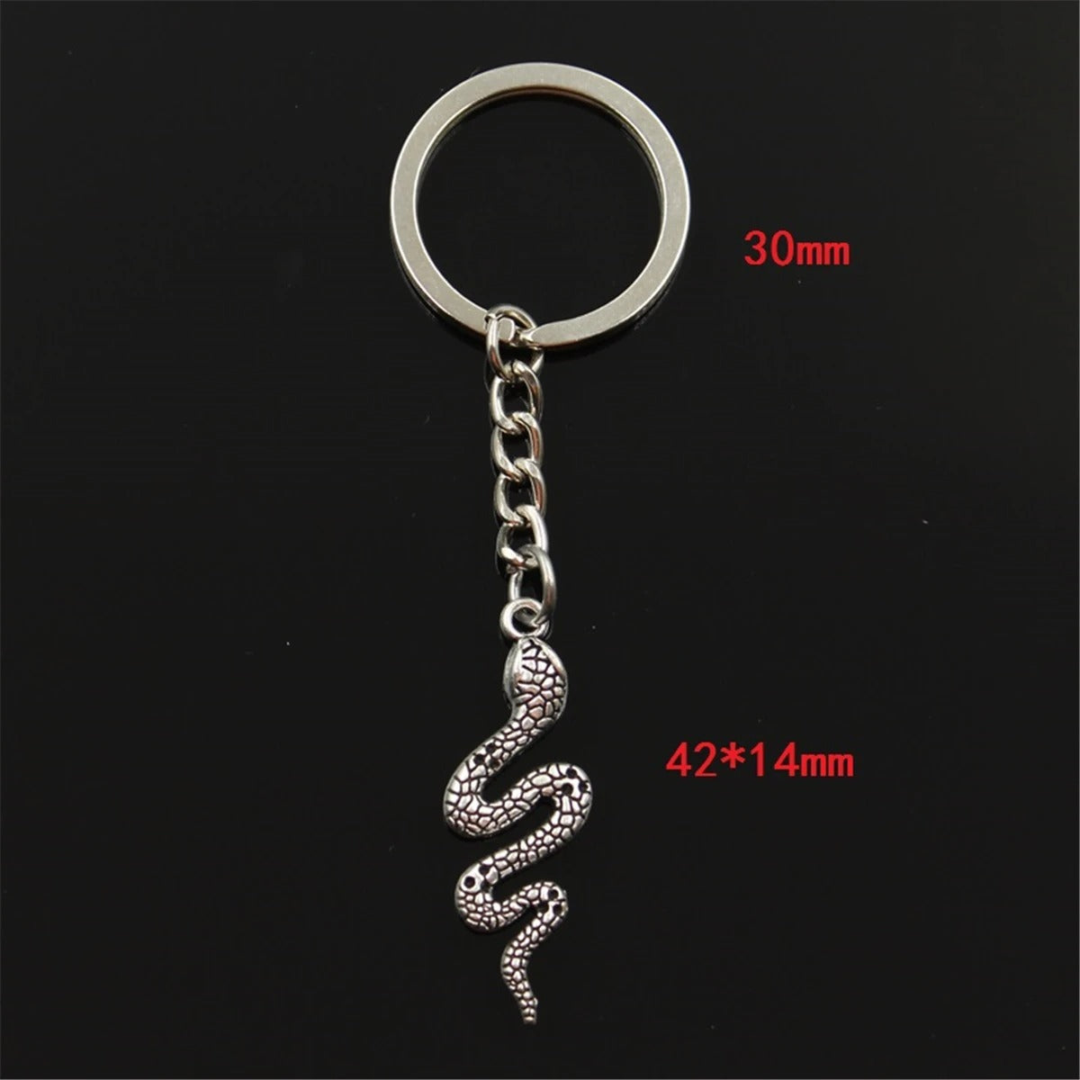 Porte-clés Serpent Moderne