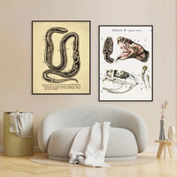 Thumbnail for Poster Serpent Python