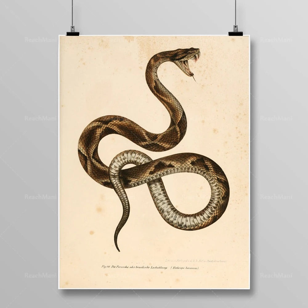 Tableau Serpent Égyptien