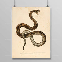 Thumbnail for Tableau Serpent Égyptien