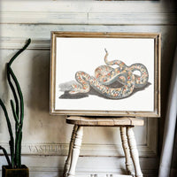 Thumbnail for Poster Serpent Vipère