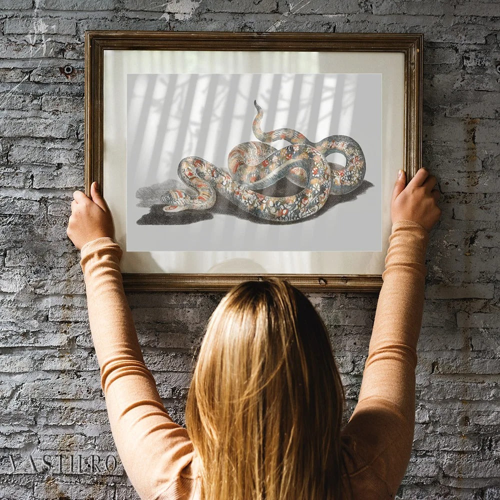 Poster Serpent Vipère
