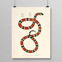 Thumbnail for Tableau Serpent Égyptien