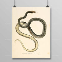 Thumbnail for Tableau Serpent Égyptien