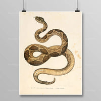 Thumbnail for Tableau Serpent Égyptien