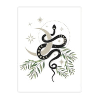 Thumbnail for Tableau Serpent Design