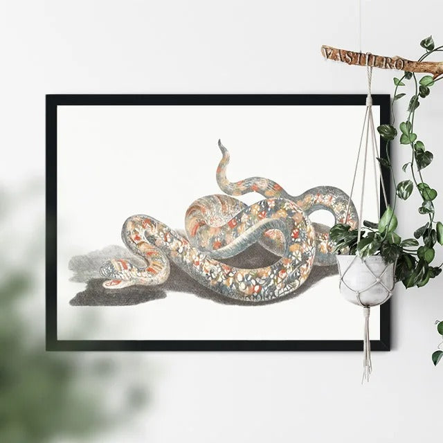 Poster Serpent Géant